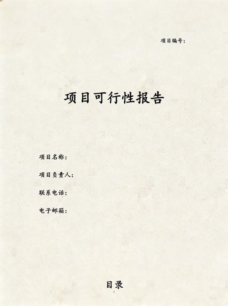 项目可行性分析